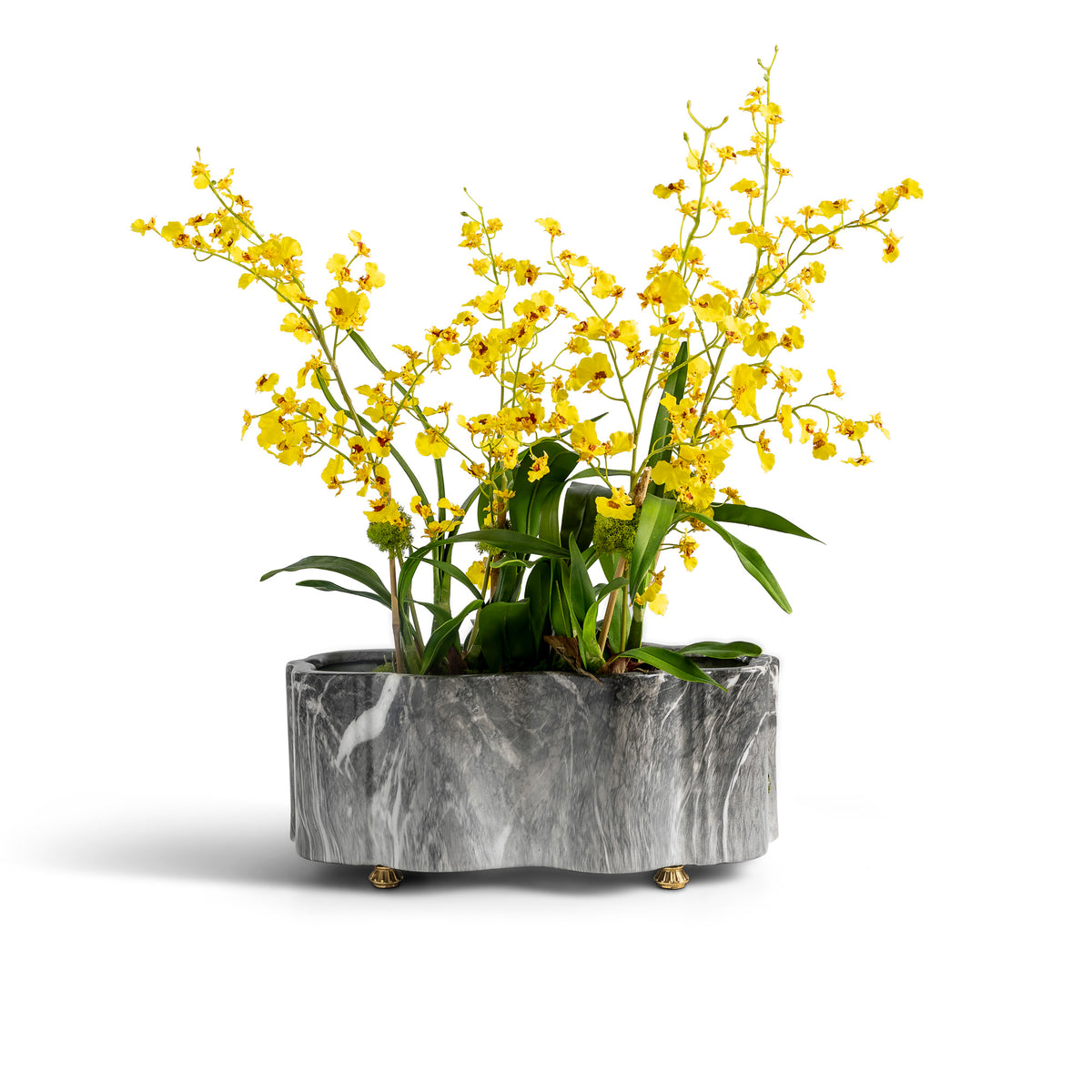 Meridian Gray Scallop Planter