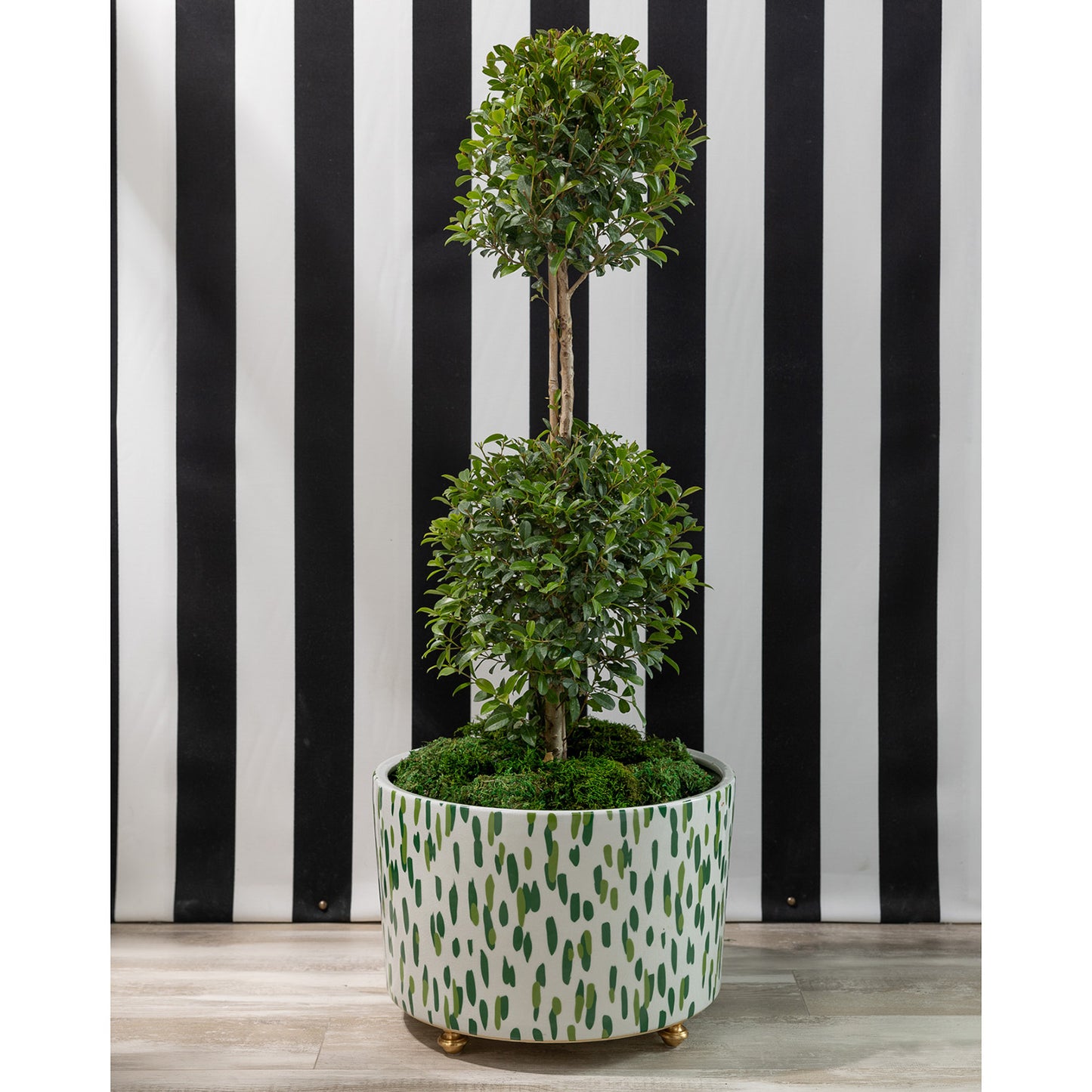 Mill Reef Palm Center Basin