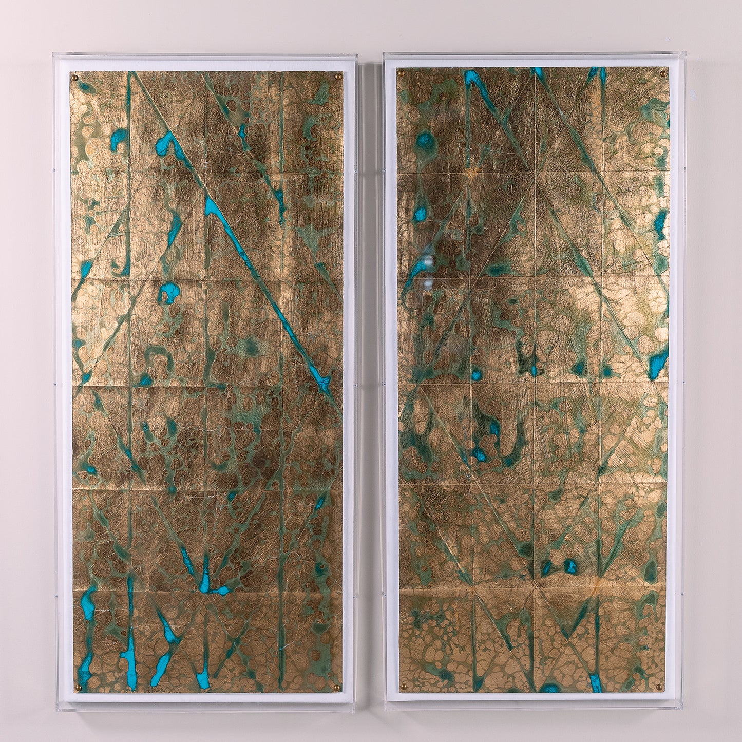 Transect Gold