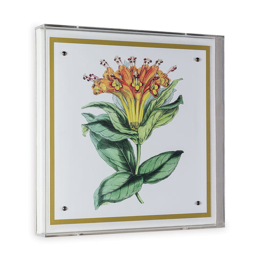 Paxton Flower Orange