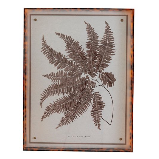 Sepia Fern II