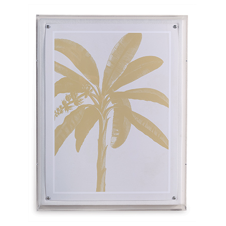 Palms Gold