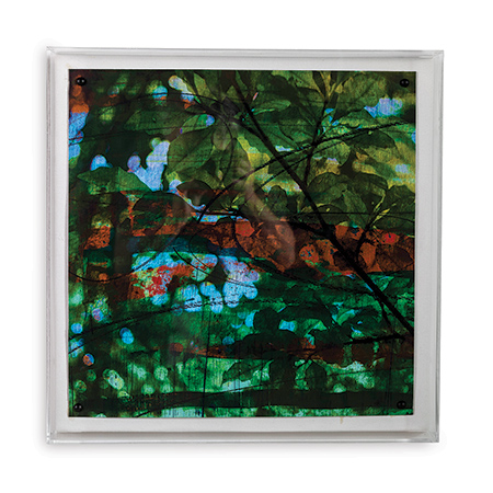 Leaf Study IV