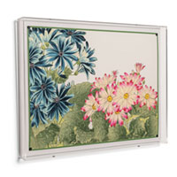 Flower Garden IV