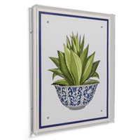 Succulent Bowl