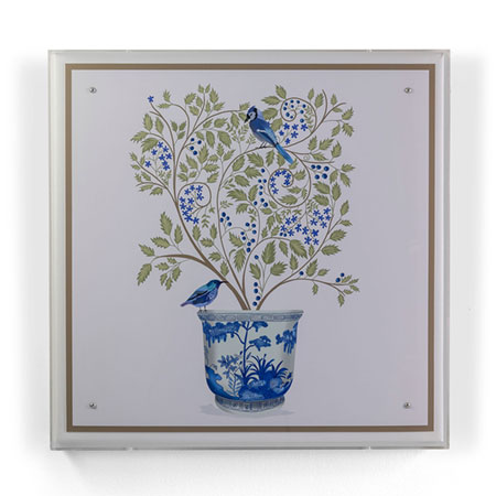 Blueberry Tree