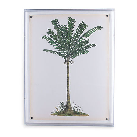 Palm Tree IV