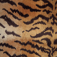 Scalamandre<br />Le Tigre Natural