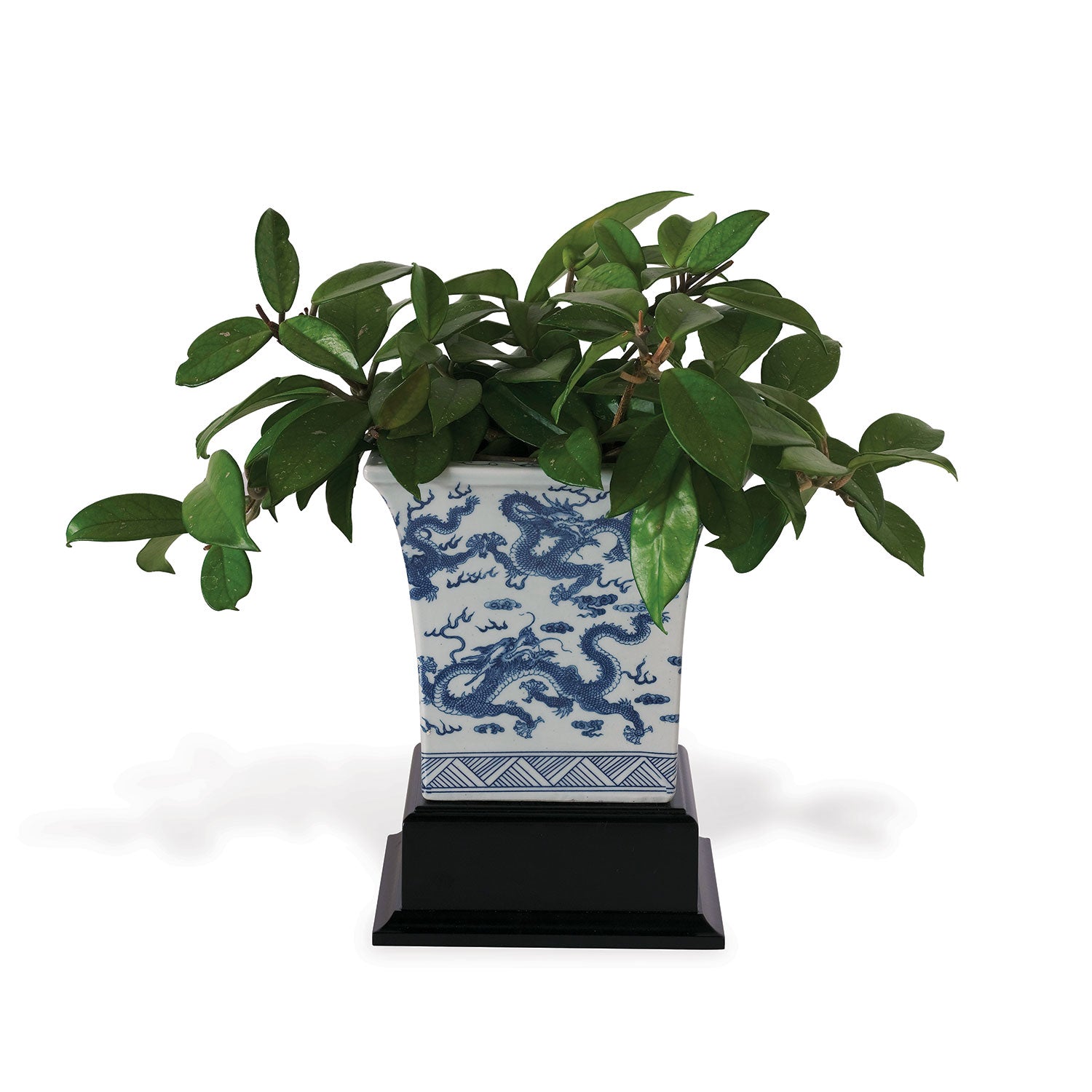 Dragon Blue Square Planter with Stand