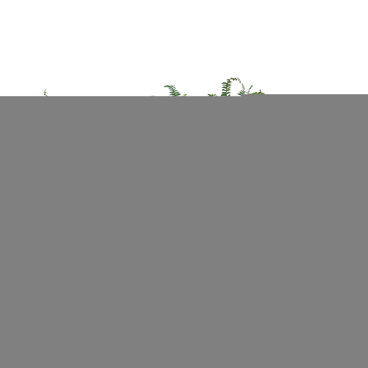 Carol Oval Apple Green Planter