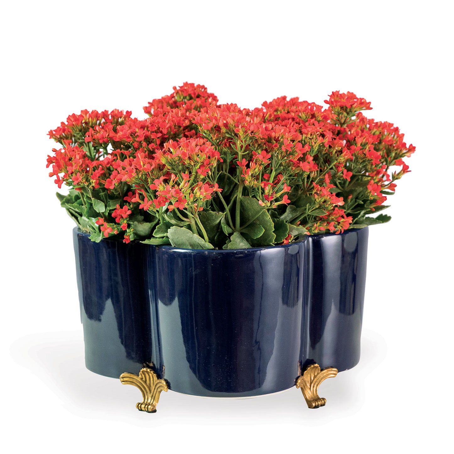 Navy Quatrefoil Planter