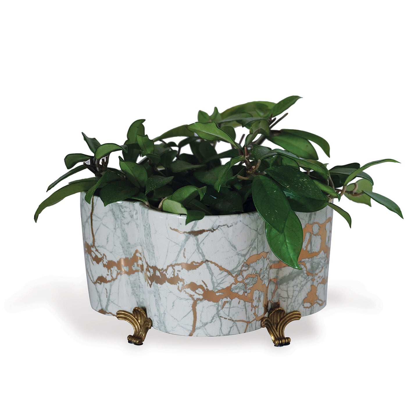 Giovanni Quaterfoil Planter