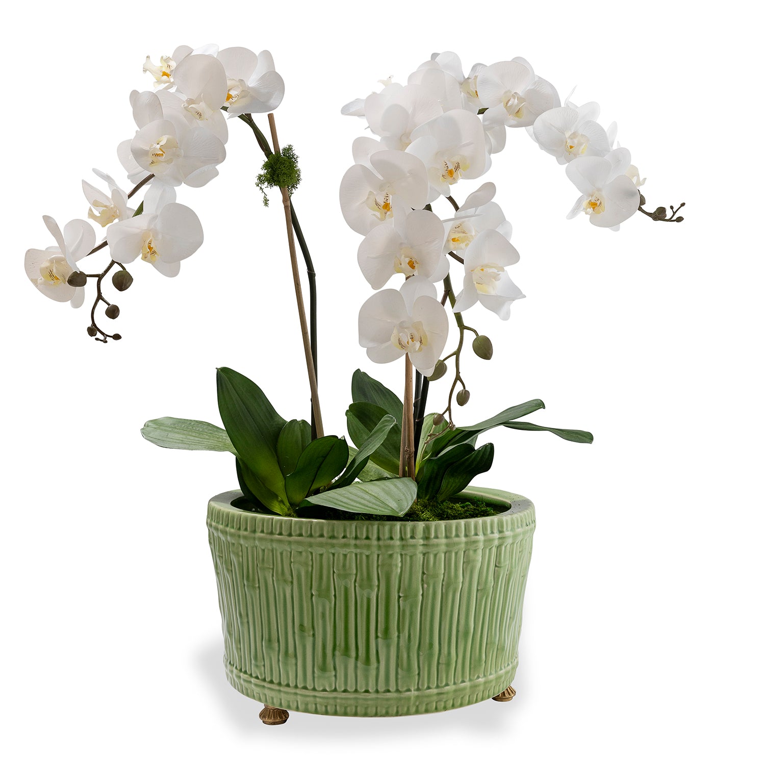 Bamboo Garden Apple Green Center Basin