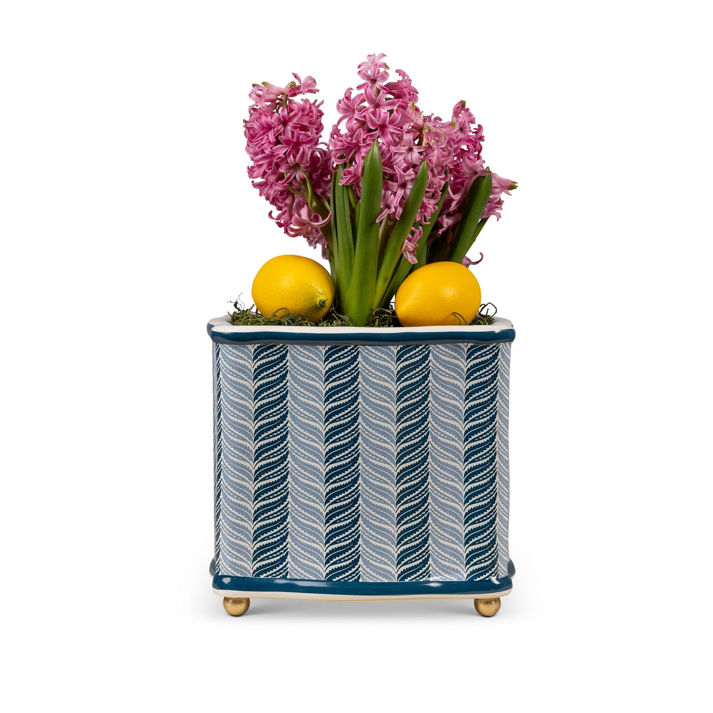 Acanthus Stripe Blue Planter