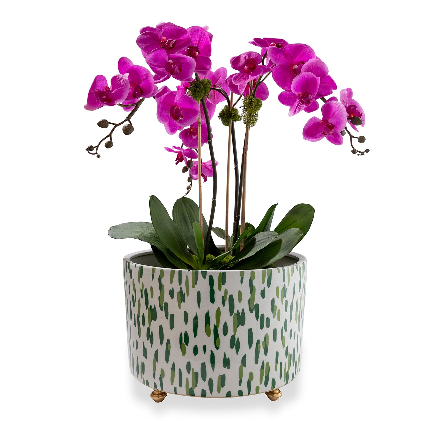 Mill Reef Palm Center Basin