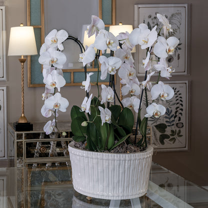 Bamboo Garden Cream Center Basin