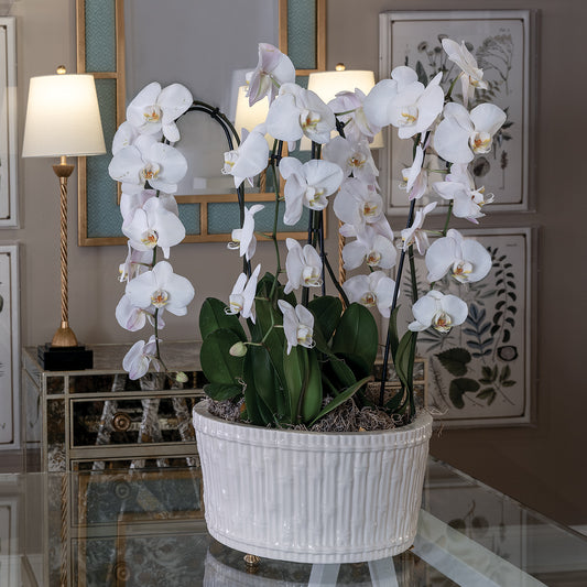 Bamboo Garden Cream Center Basin