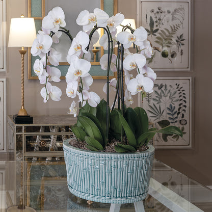 Bamboo Garden Celadon Center Basin