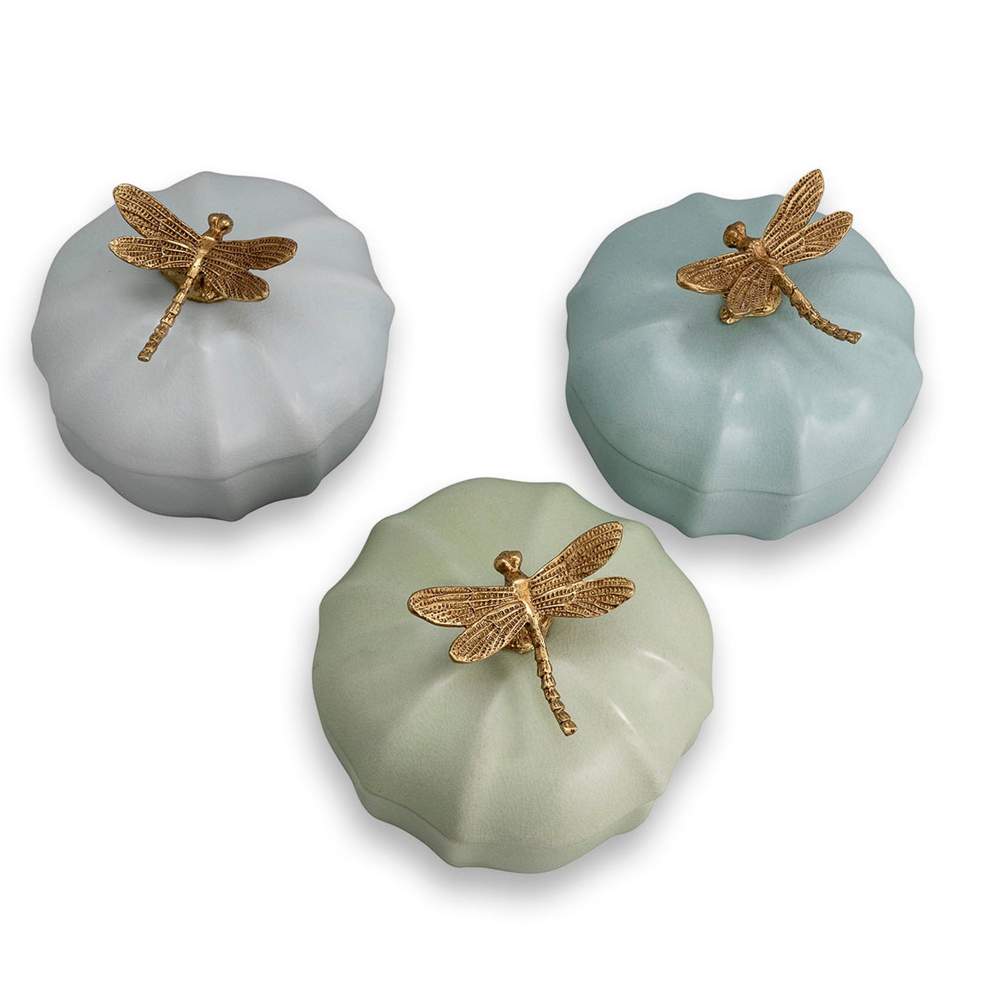 Dragonfly Scallop Boxes Set/3