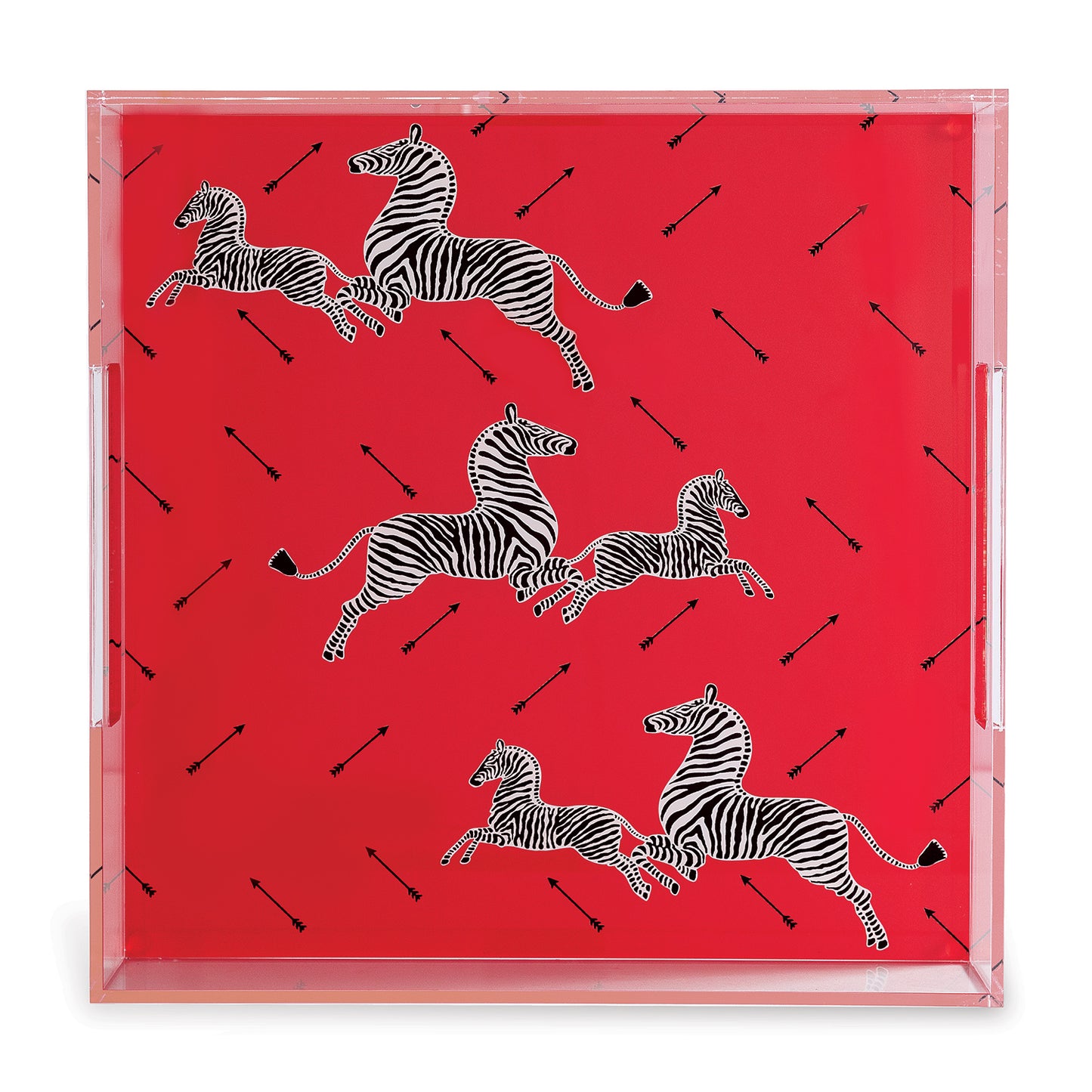 Zebra Red Lucite Tray