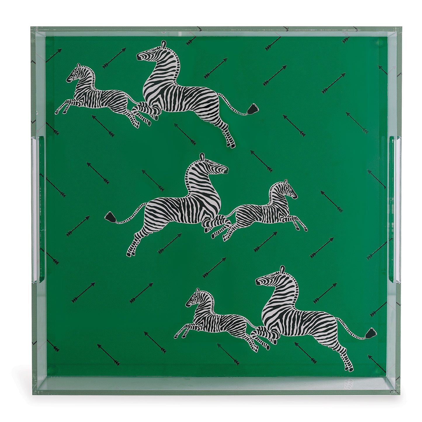 Zebra Green Lucite Tray