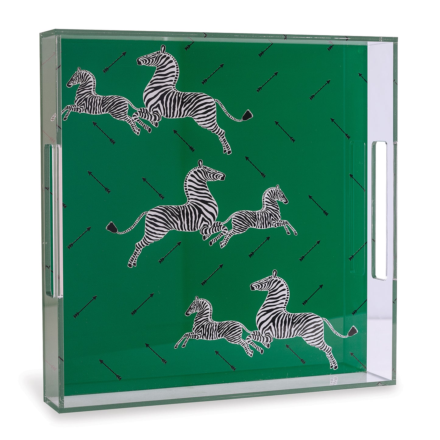 Zebra Green Lucite Tray