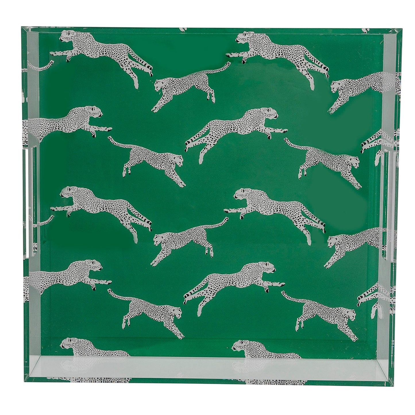 Leaping Cheetah Teal Acrylic Tray