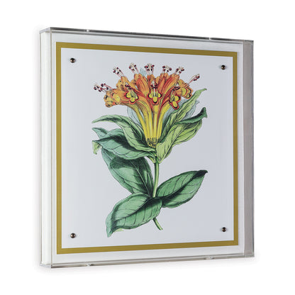 Paxton Flower Orange