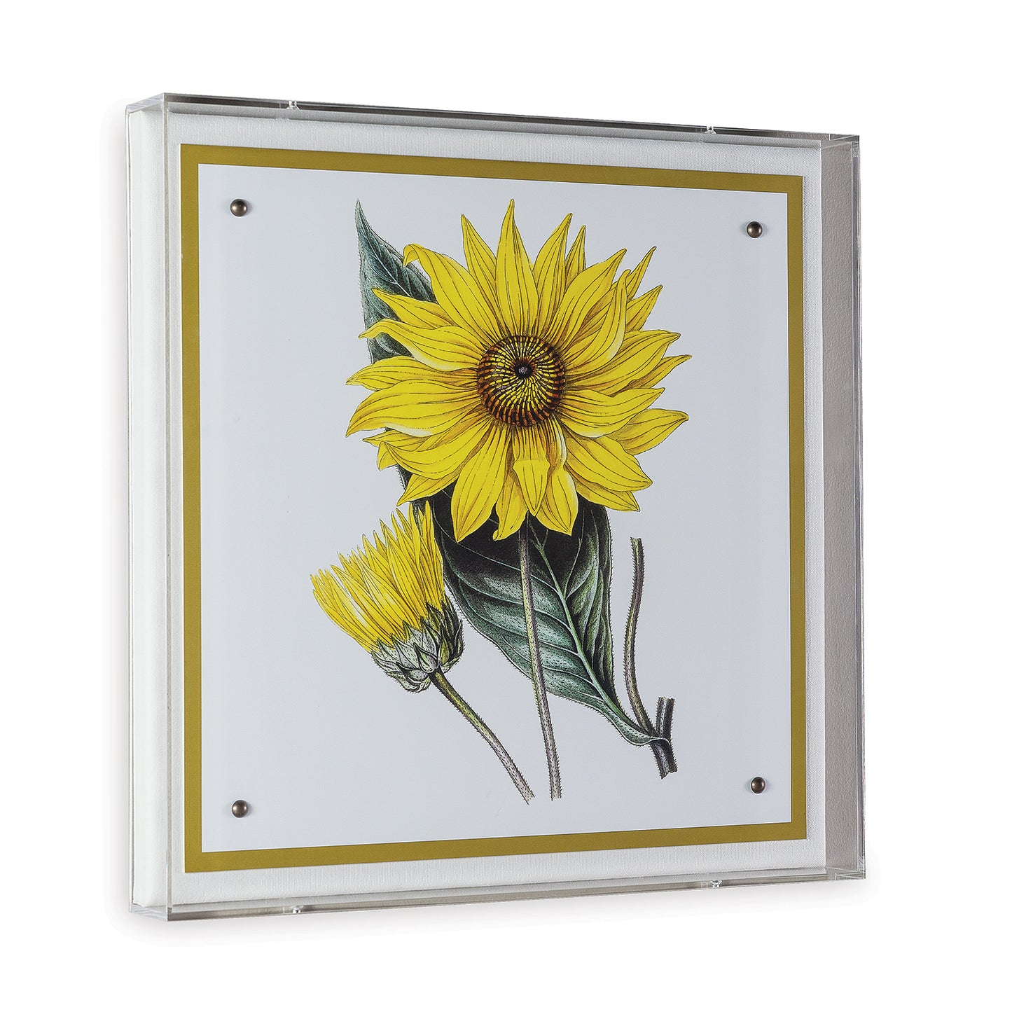 Paxton Flower Yellow