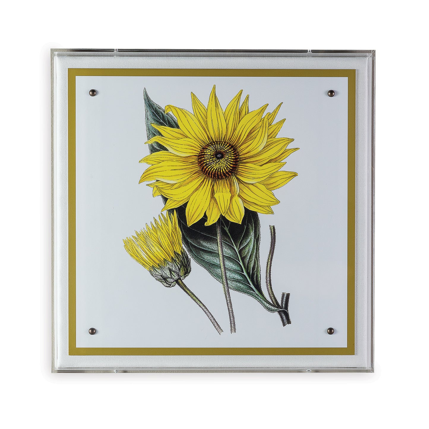 Paxton Flower Yellow