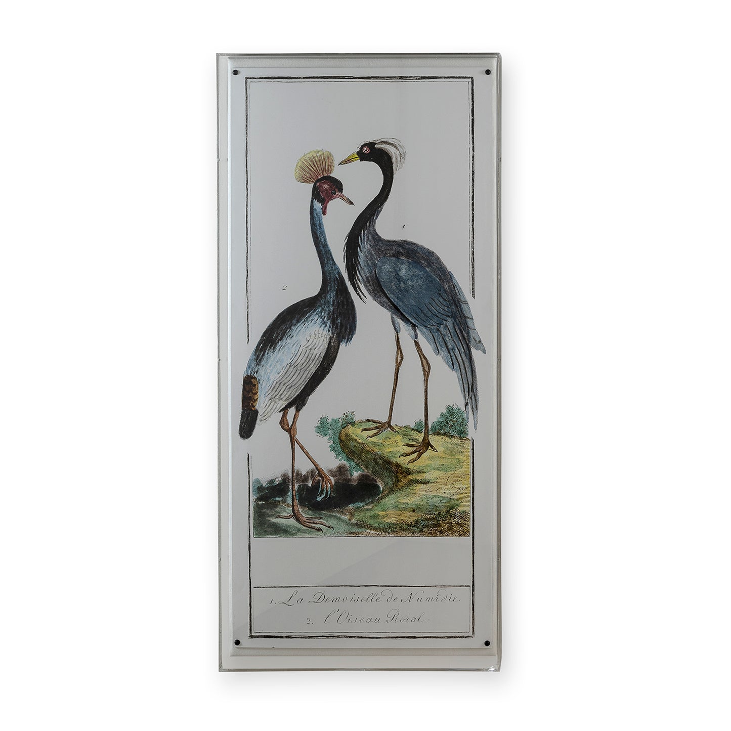 Buffon Heron I Panel