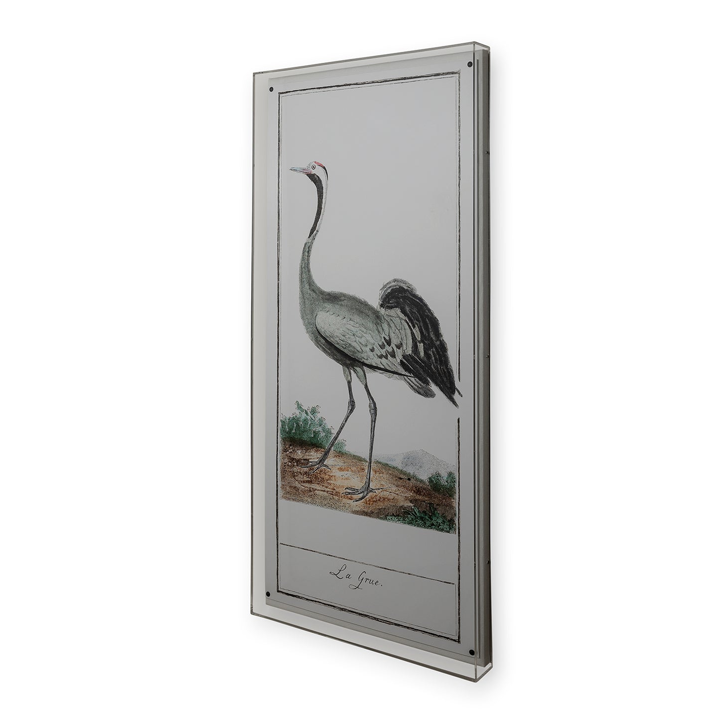 Buffon Heron II Panel