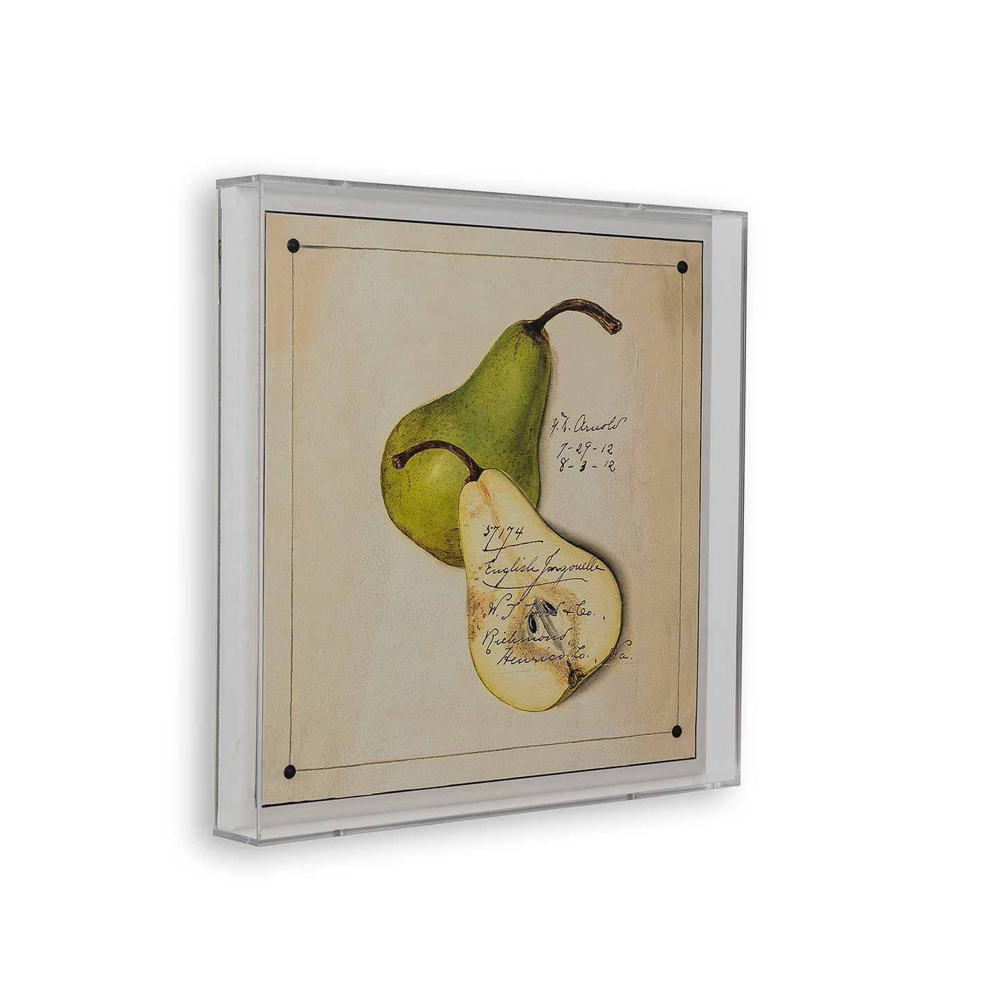 Jongouelle Pear
