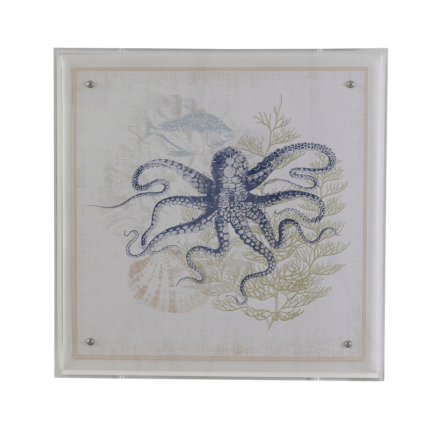 Coastal Octopus