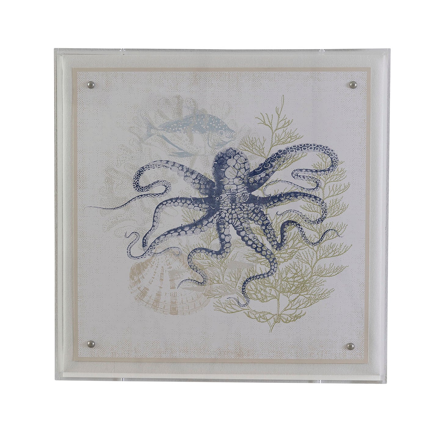 Coastal Octopus