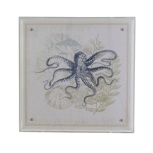 Coastal Octopus