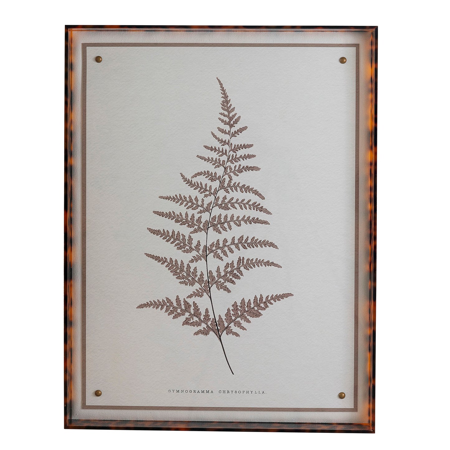 Sepia Fern I