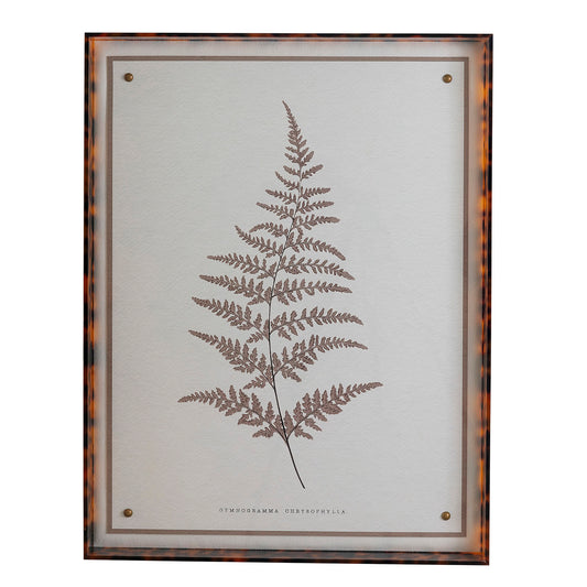Sepia Fern I