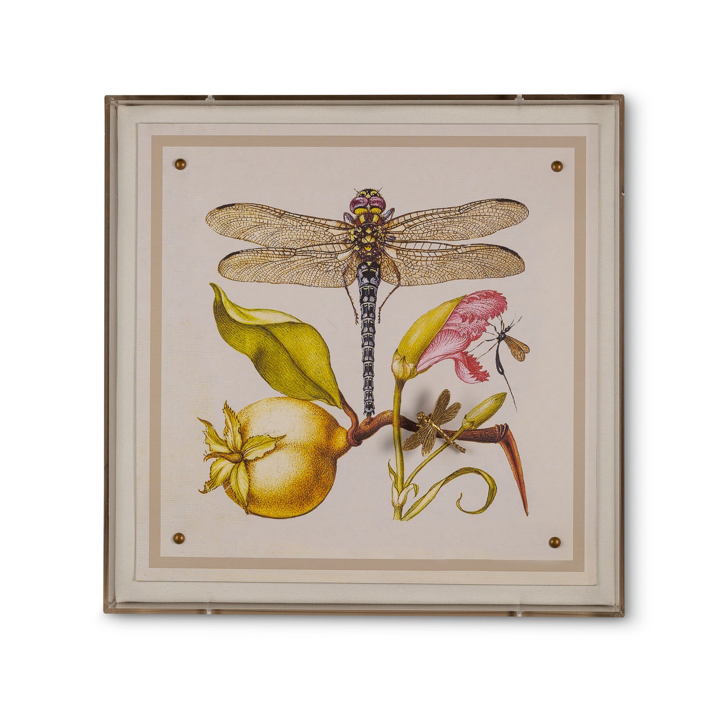 Dragonfly I