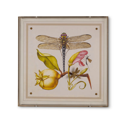 Dragonfly I