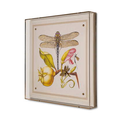 Dragonfly I