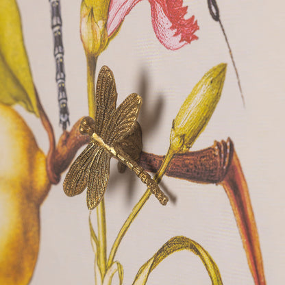 Dragonfly I