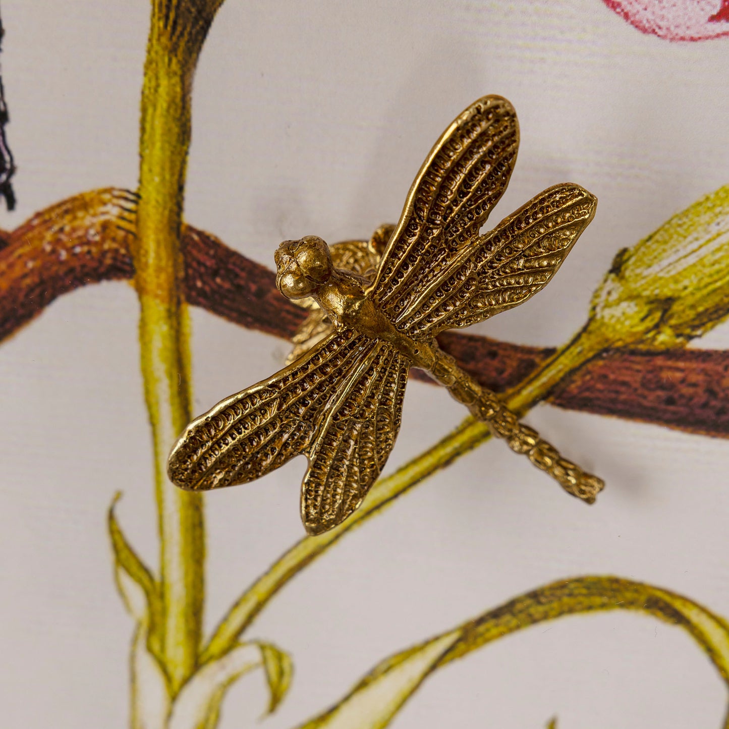 Dragonfly I