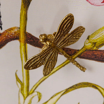 Dragonfly I