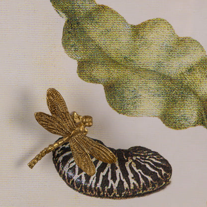 Dragonfly II