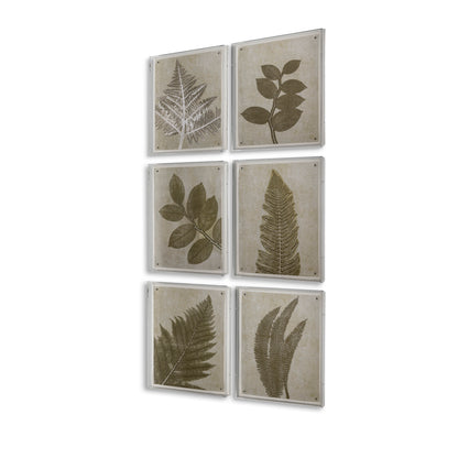 Fern I