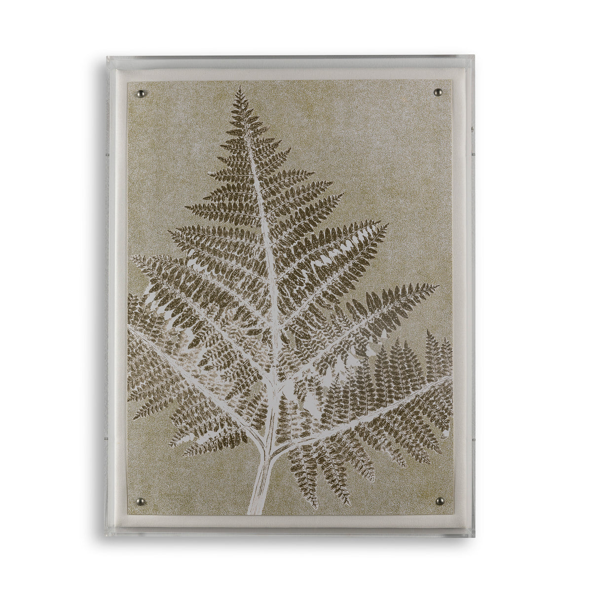 Fern I