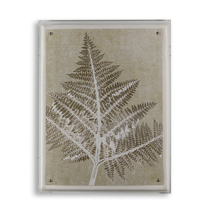 Fern I