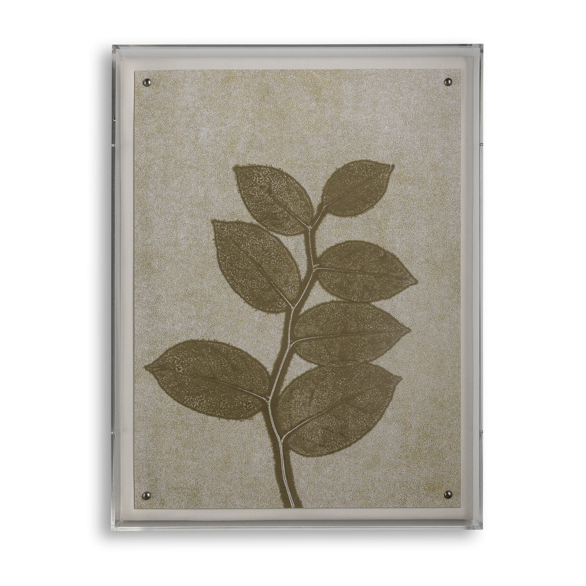 Fern II