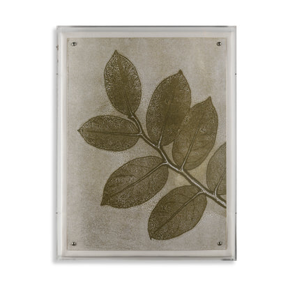 Fern III
